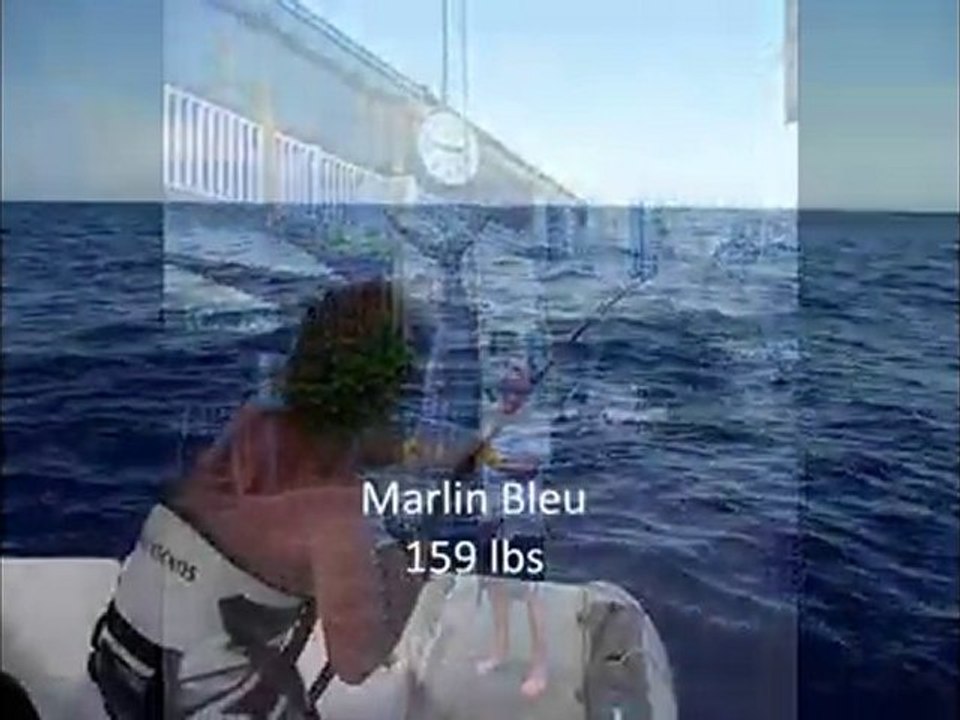 Marlin Cup 2011