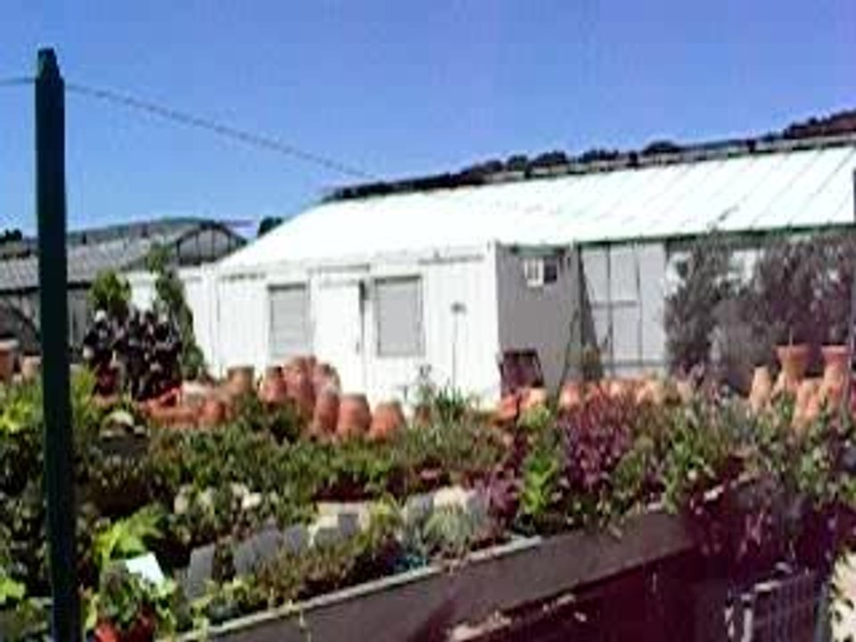 DSCN0925