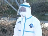 Bird Flu Outbreak Spreads to Central Japan