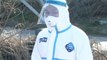 Bird Flu Outbreak Spreads to Central Japan