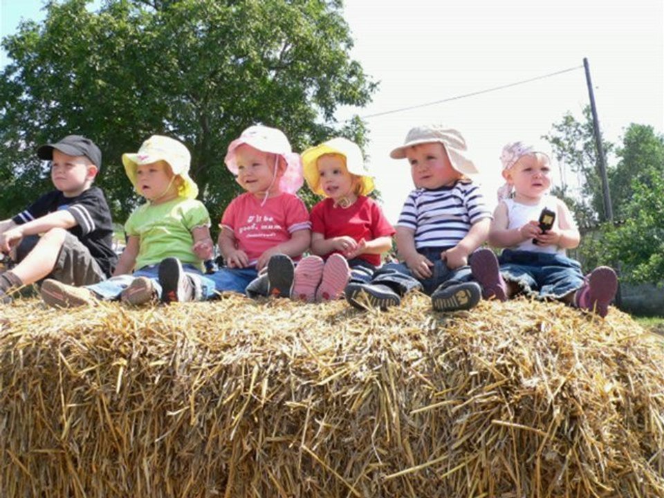 Gesund und lange leben