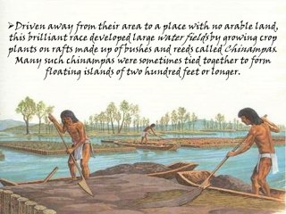 The Historical Roots of Hydroponics