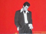 Nick Kamen - Any Day Now