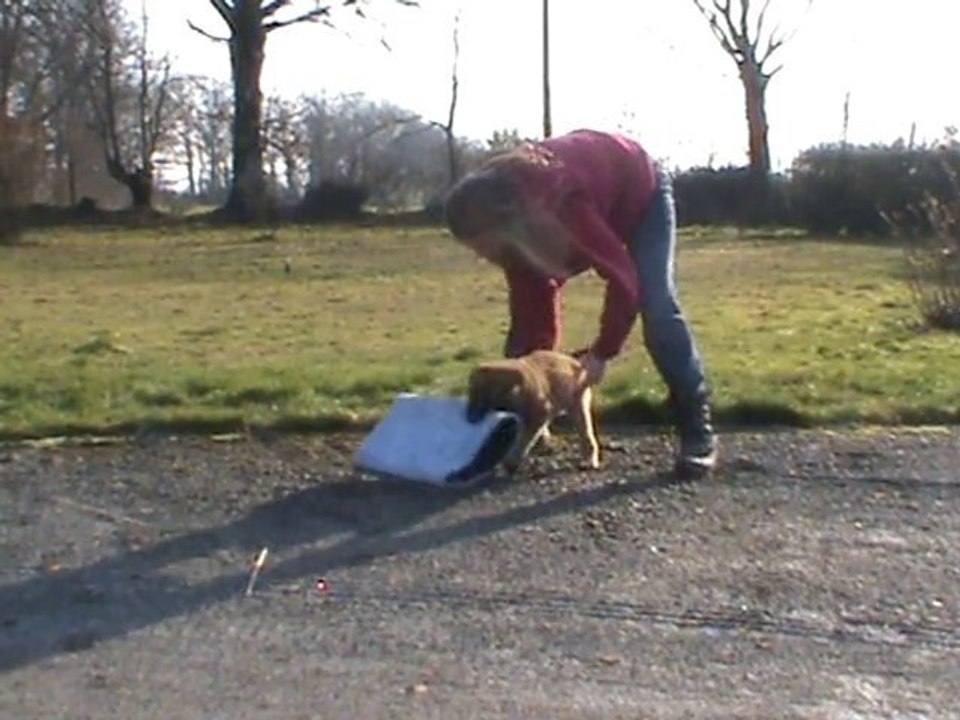 Full au mordant jambière 9 semaines