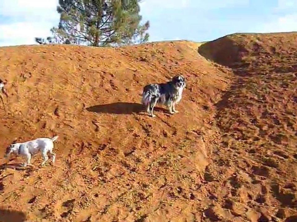 Le Colorado -Boogie-Abbesse-Dayana