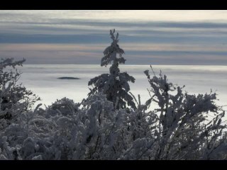 Mer de nuages depuis le Pic du Lizieux le 28/01/2011