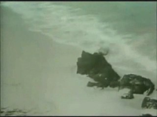 Alan Watts -- Being Present