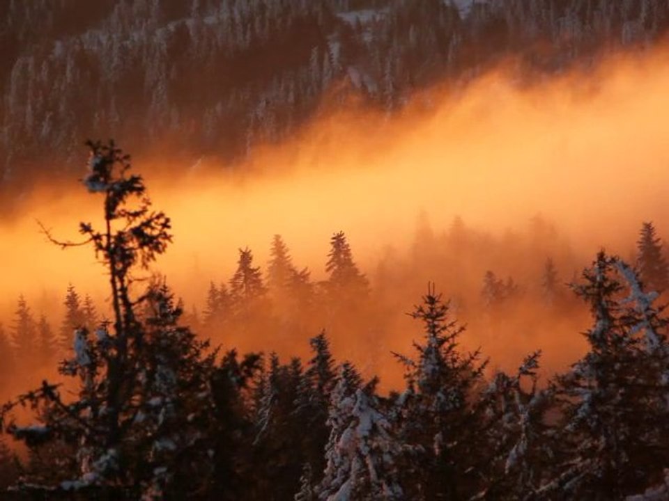 Mer de nuages au lever du soleil depuis le Testavoyre