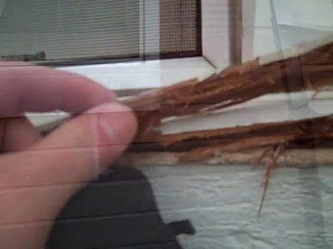 Olathe wood rot repair 913-706-8710