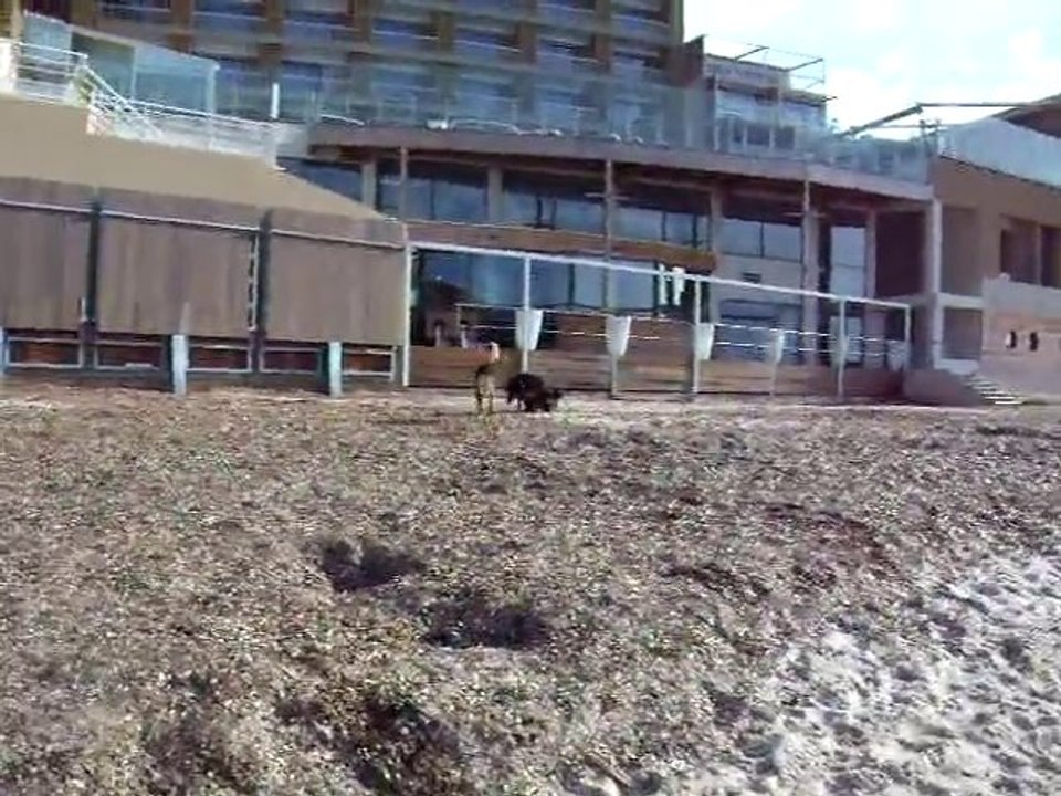 Plage 2