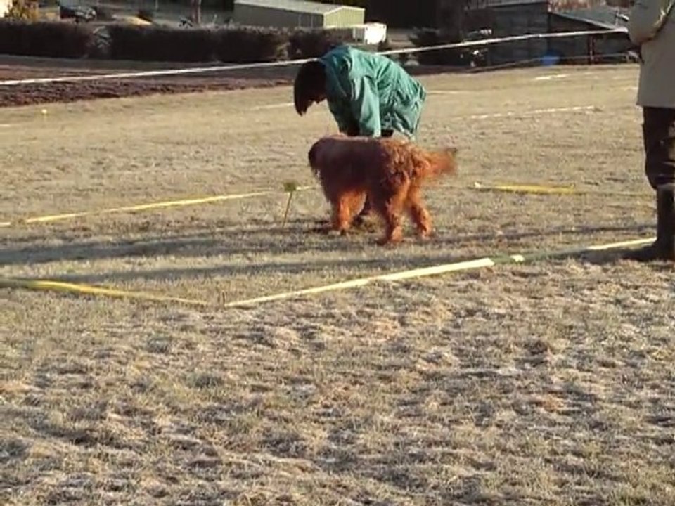 nanook  cavage la rosiere
