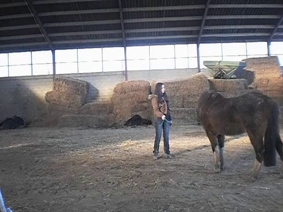 Vinnie travail petit travail a pied