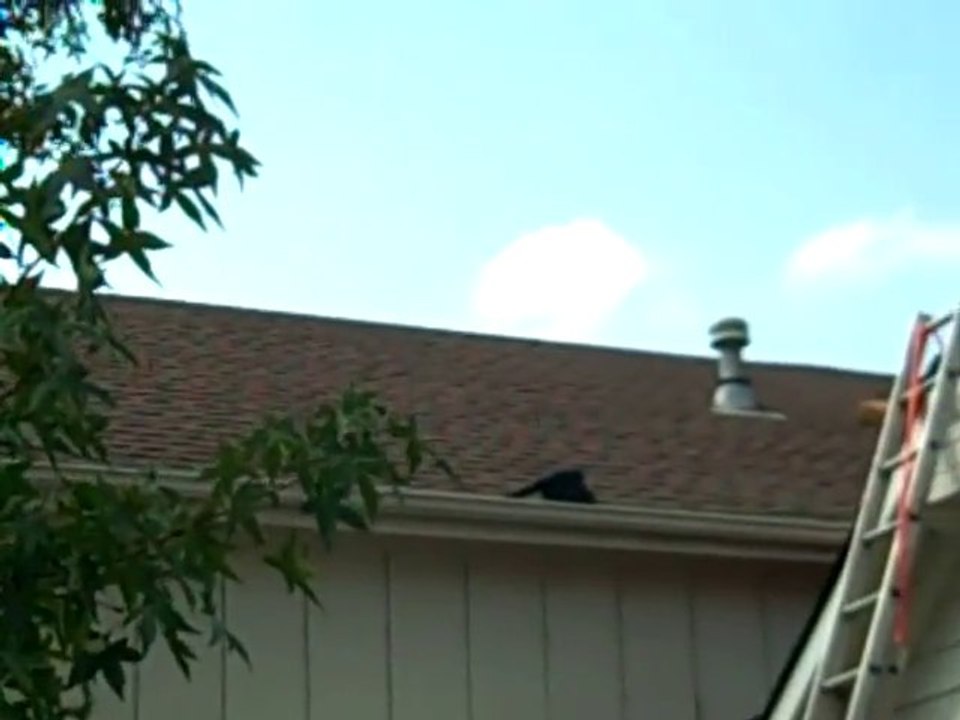 Roof replacement in Olathe, KS