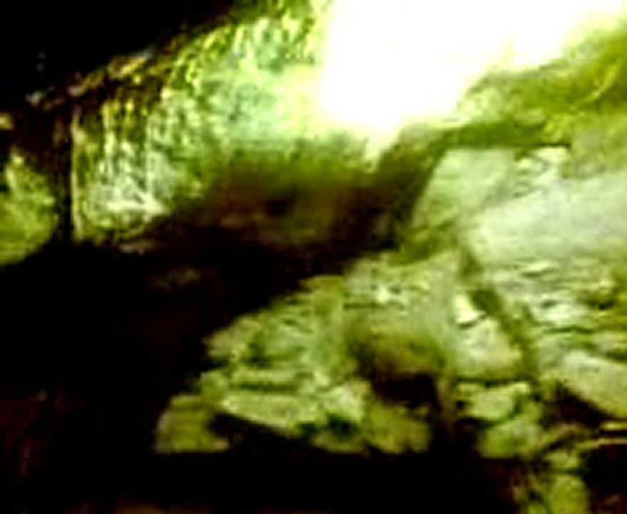 İstanbul, İzmir, Ayvalık, Çeşme, Foça, Kuşadası, Selçuk, Efes, Bergama İngilizce-Norvecce Profesyonel Kokartlı Turist Rehberi ---Inne i Alanya Dim-grotto /// Inside Dim Cave, Alanya