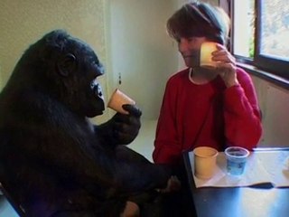 Mona Lisa - Promo Reel