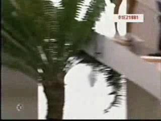 Rebelde rbd_MIA&MIGUEL_y la vida(mix)