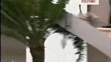 Rebelde rbd_MIA&MIGUEL_y la vida(mix)