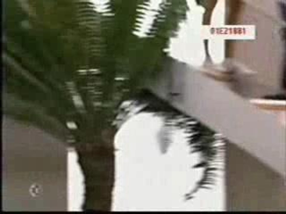 Rebelde rbd_MIA&MIGUEL_y la vida(mix)