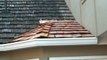 Wood Shake Roof Repair in Lenexa, KS 913-706-8710