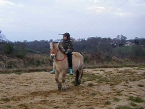 didine reculé monté