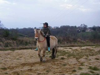 didine reculé monté