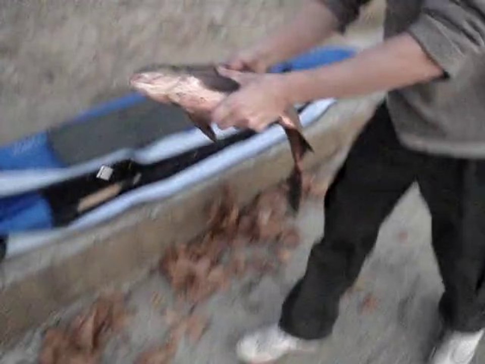 bourriche 18-10-08, la première vidéo du F.U.K