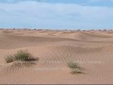 Dunes du campement Bir Soltane Sud Tunisie