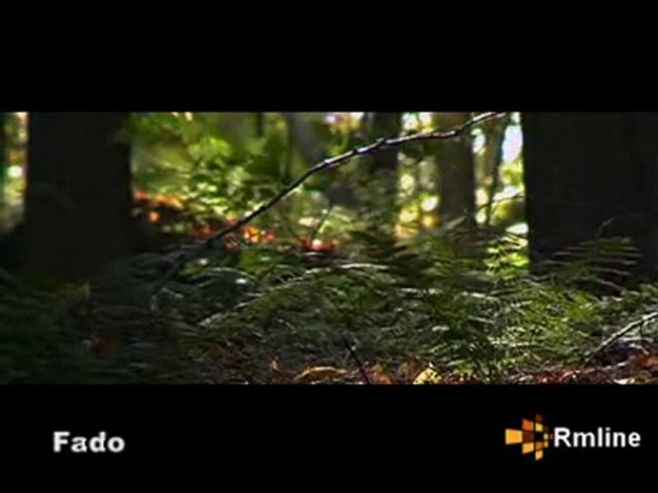 fado