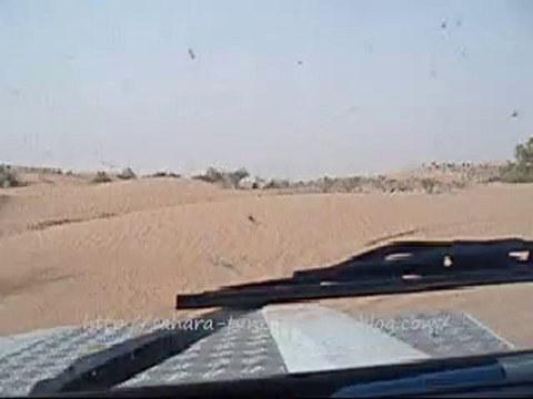 Dunes El Borma, Sud Tunisie