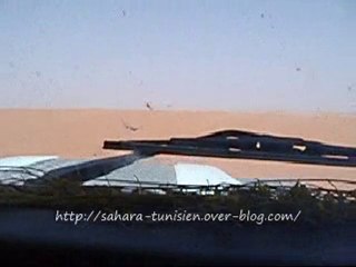 Grandes dunes Borj El Khadra