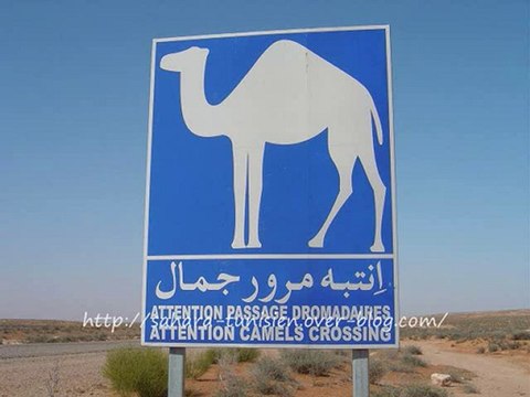 carnet voyages désert