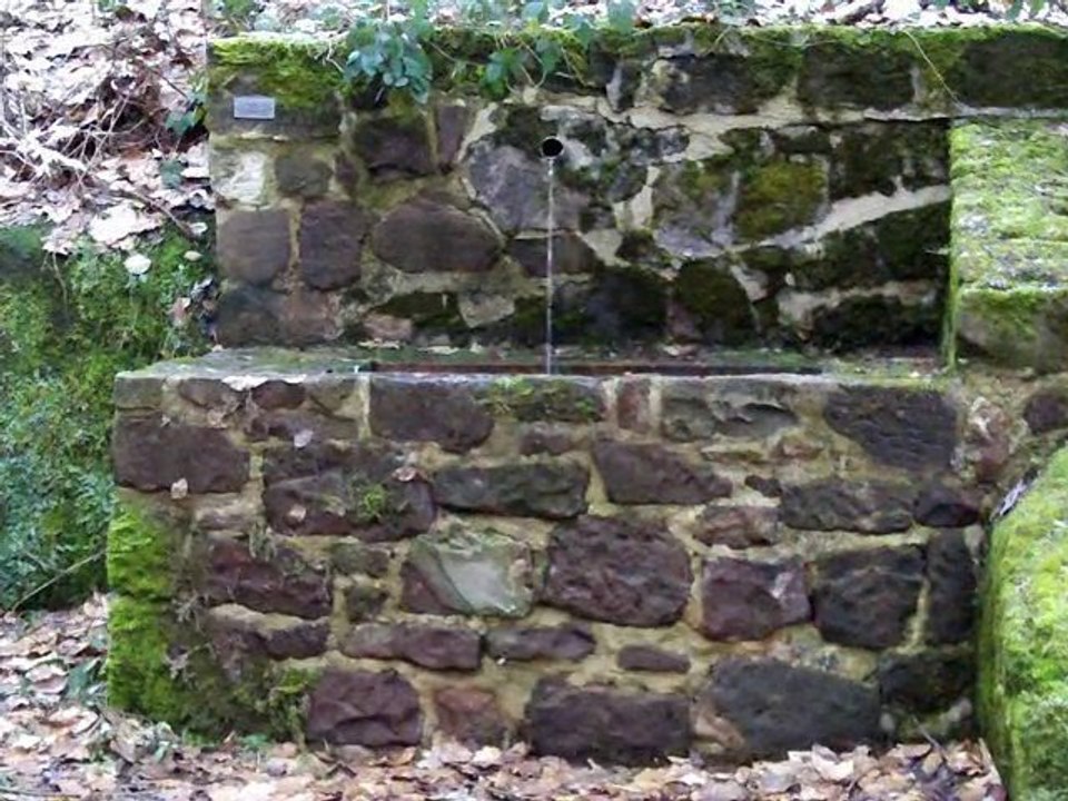 bruennchen