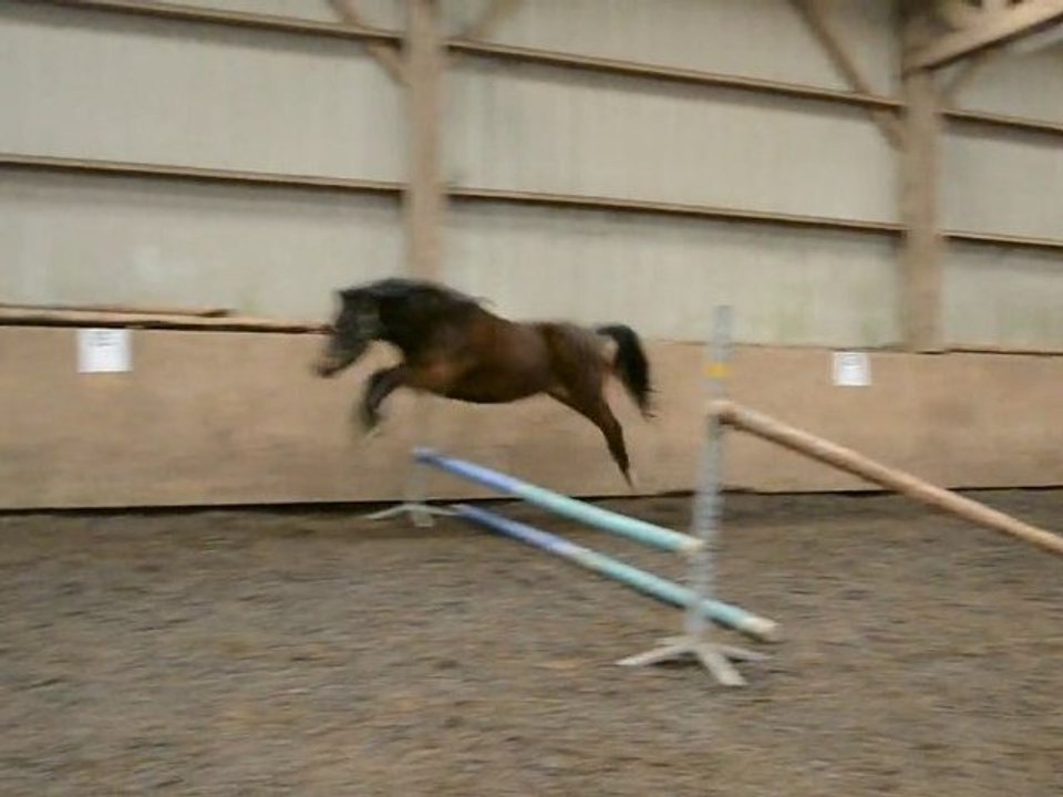 1ere séance de saut Vollte