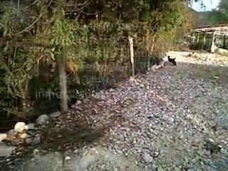 Terreno en venta en San Cristobal de Las Casa por disco Pala