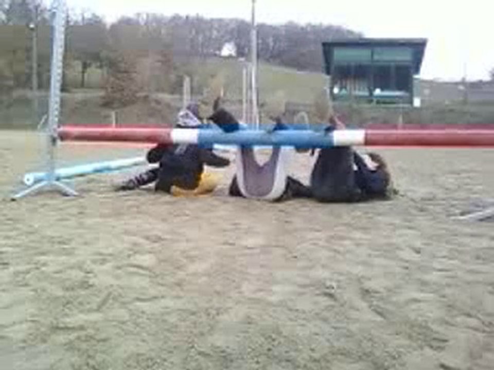 Des TARÉES , des Vraie !