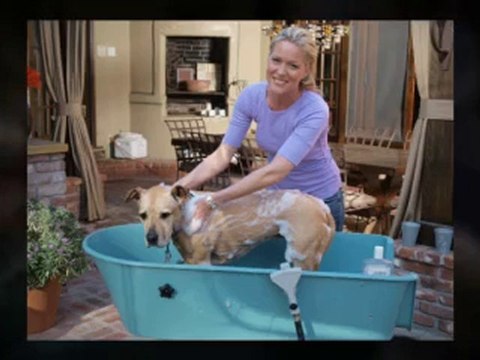 Dog Bath Tubs - Grooming Tub from BoosterBath.com