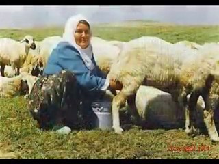 BEYAĞIL NET TEKİ NASTOLJI RESİMLERİ--İRFAN VURAL