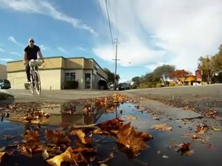 5000 Horizontal Feet with the Globe Daily