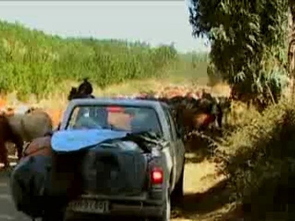 Moments - Windsurfing DVD Trailer