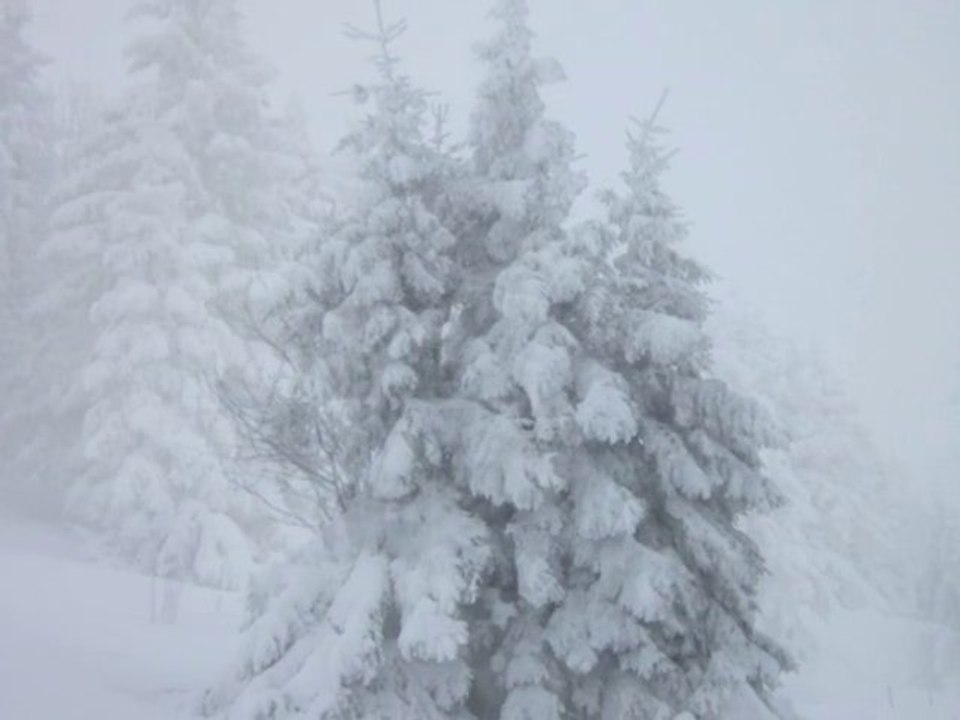 La beauté des paysages