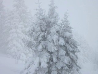 La beauté des paysages