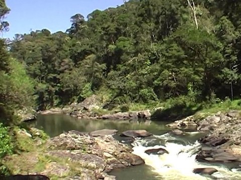 MADAGASCAR 2010 - Le Petit Train de la côte Est