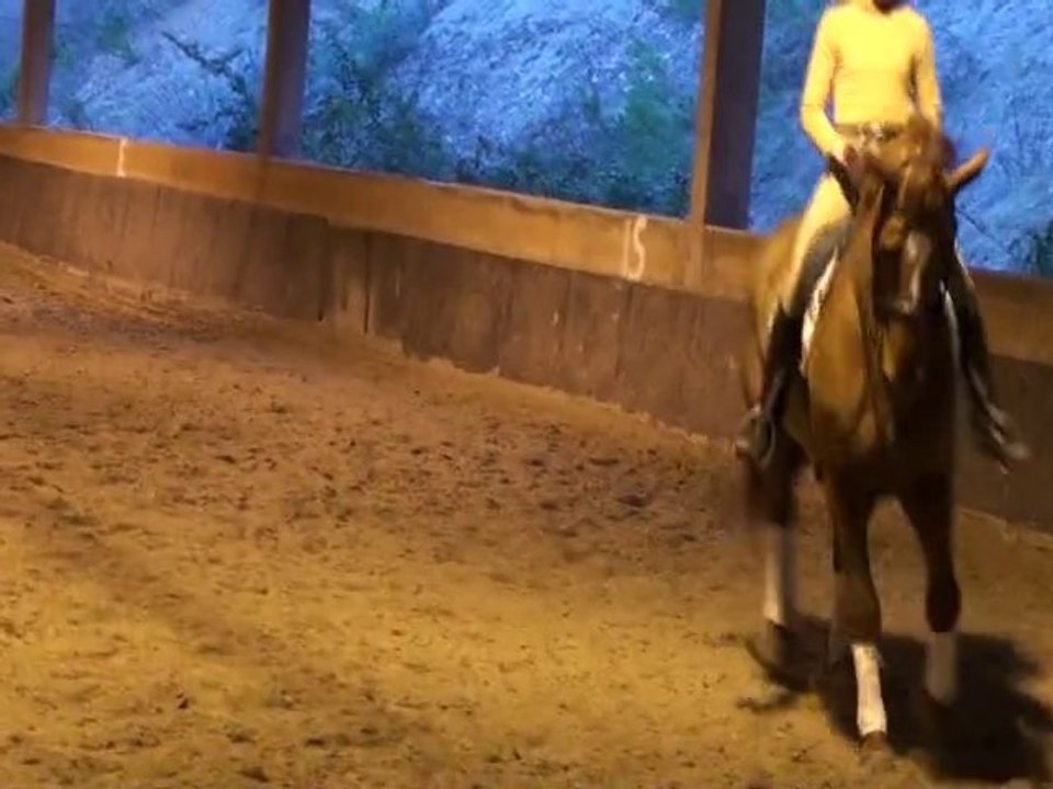 Lydie Karoutchi dressage Patrick Rolland.