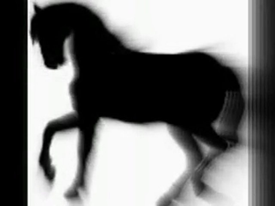 Black Horse