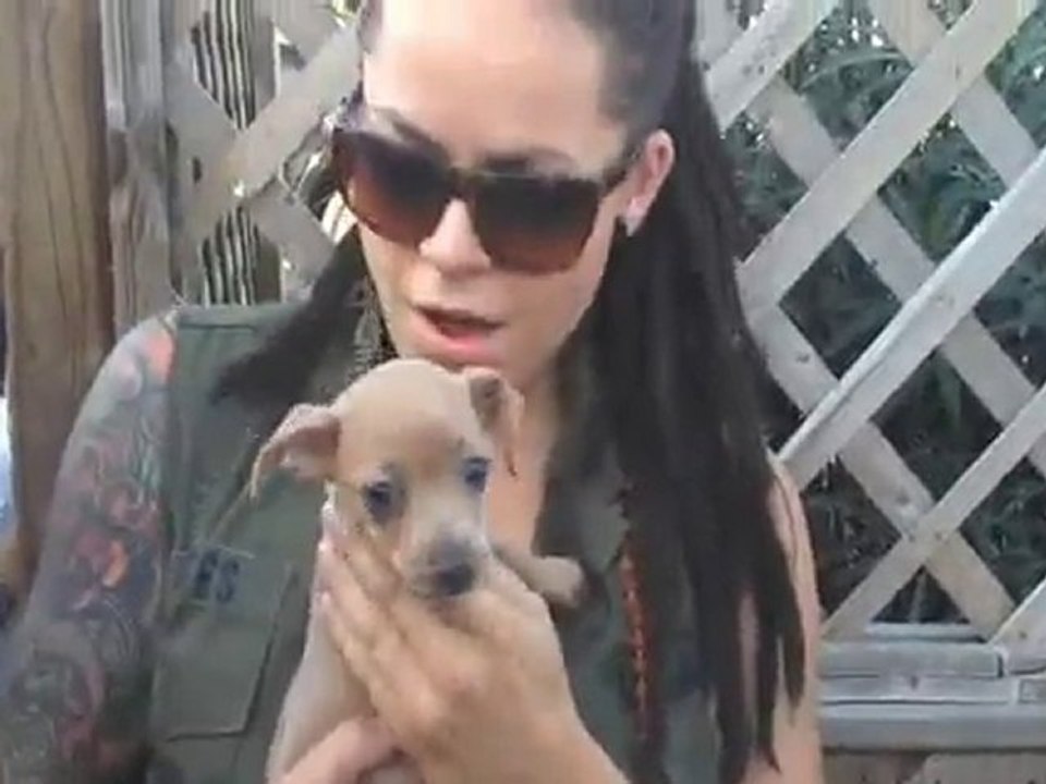 Whitney Mixter Tracy Stamie Real L Word girls Houston