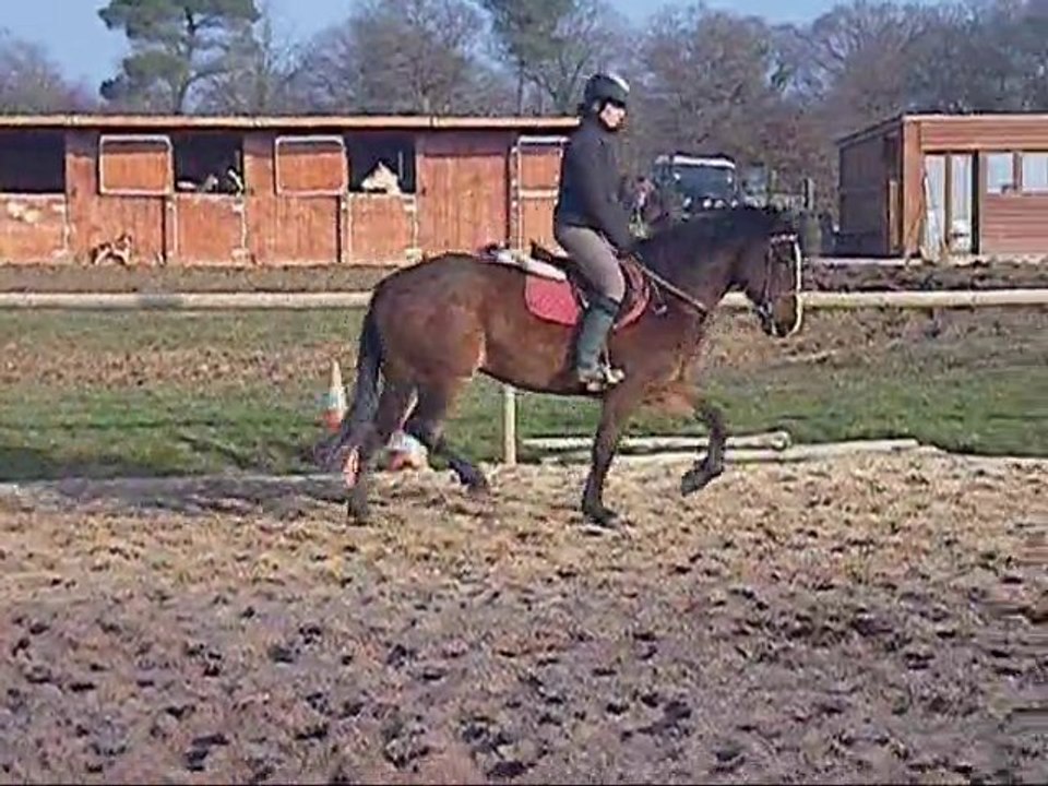 Opium Carrière Trot