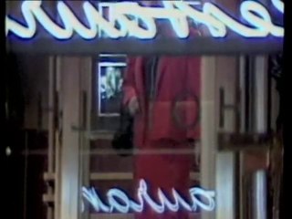 les klarsfeld, guérilleros de la mémoire (3)