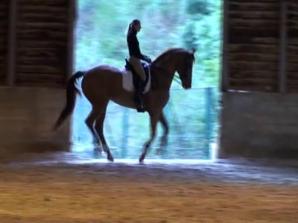 Travail des changements de pied lors d'un stage avec Patrick