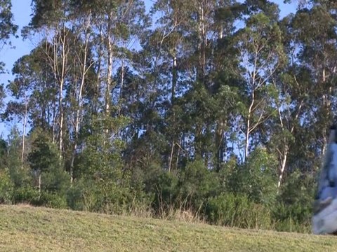 Le Journal vidéo du samedi 29 janvier 2011, édition de 18H00.