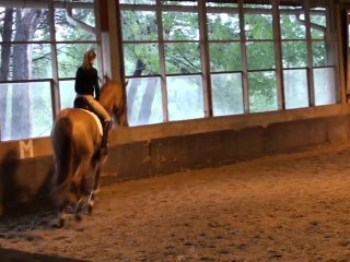 Lydie Karoutchi Patrick Le Rolland. Travail galop, pas...